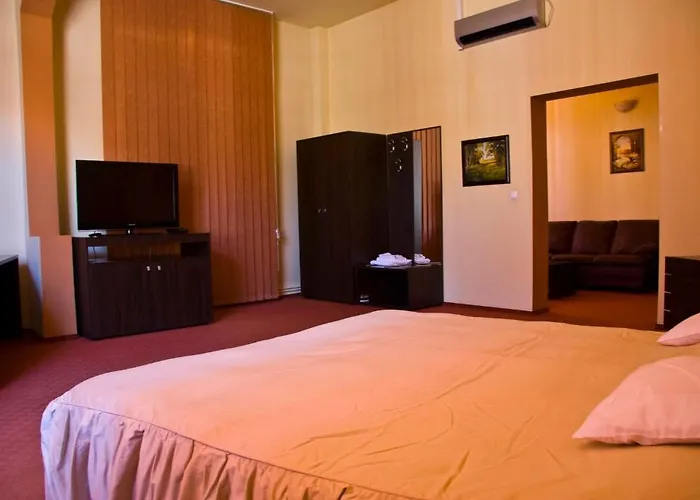 Hotel Victoria Timişoara