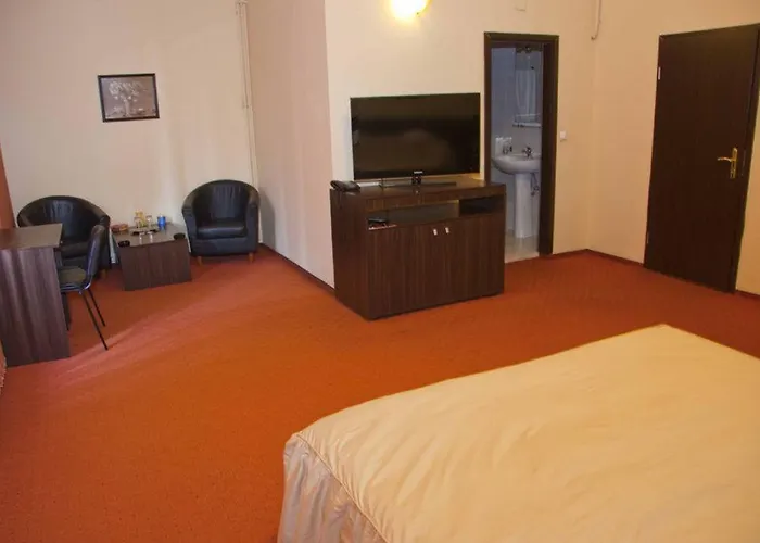 Victoria Hotell Timişoara